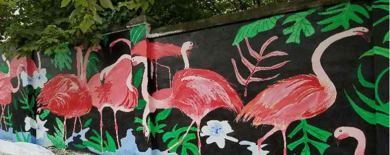 万州首条涂鸦一条街落成开放