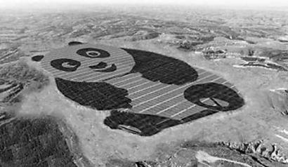 世界上最萌的光伏电站:一只占地1500亩的大熊