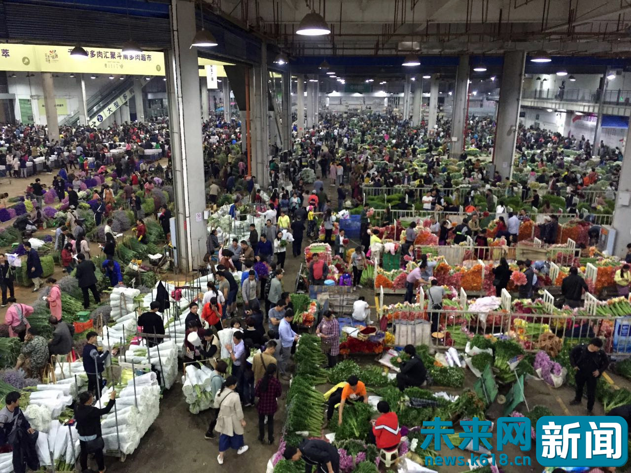 唐山的花卉市场在哪里，唐山开平北方花卉批发市场 - 唐山味儿