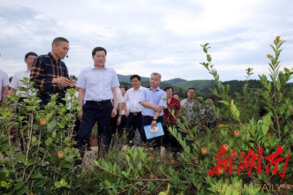 杜家毫邵阳调研②:脱贫攻坚要压实责任、找到