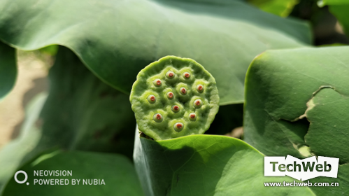 谁是安卓双摄机皇?一加5手机对比努比亚Z17手