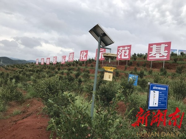 杜家毫邵阳调研②:脱贫攻坚要压实责任、找到