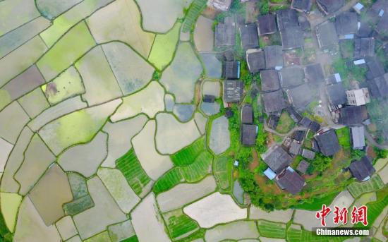 转给农业生产者 符合条件纳税人免征增值税|增