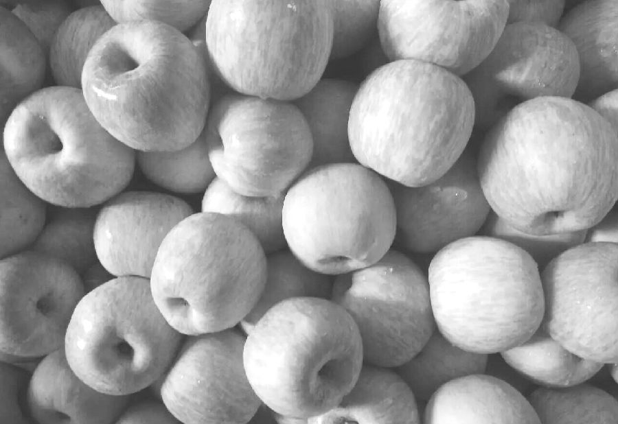 苹果期货上市对农户种植经营作用分析|期货|苹