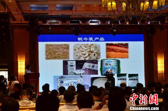 甘肃甘南获中国牦牛乳都称号 牦牛乳发展助脱