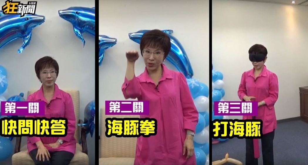 国民党前主席洪秀柱接受社群网站专访，大玩“海豚梗”。（图片取自台媒）