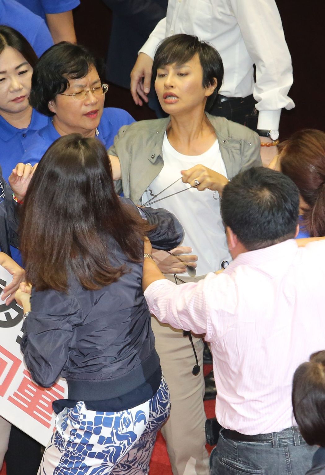  蓝绿扭打中。（图片来源：台湾联合新闻网）