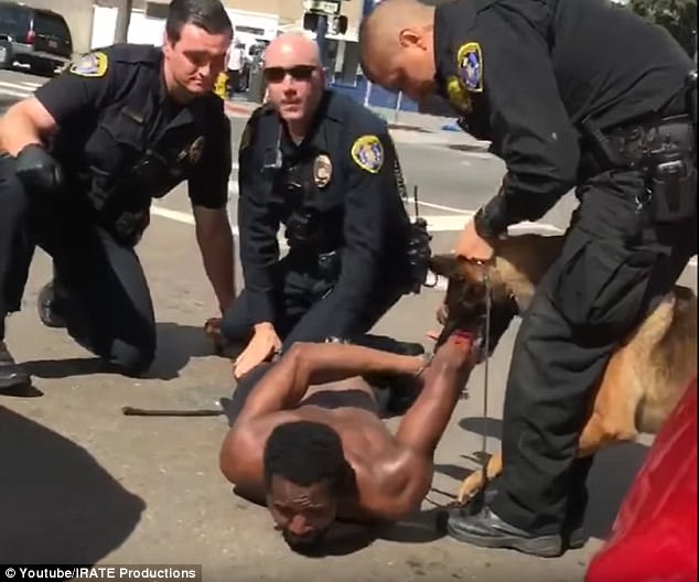 美国3名白人警察任由警犬撕咬黑人嫌犯|警犬|黑