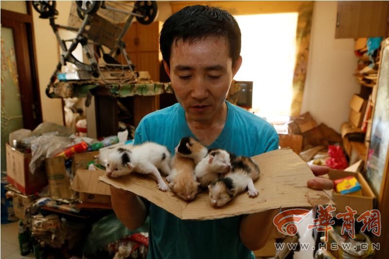 西安男子养猫10年 因脚受伤愿赠送家中33小猫