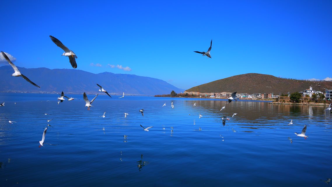 囤积7亿资金 中国海景布局一带一路的决心有多