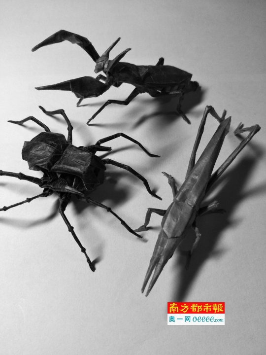 男生折完"蜘蛛"哈工大为他降60分录取|孙洪涛|折纸|高考_新浪科技