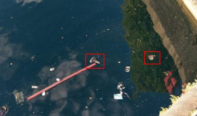 科技乱谈琴:悔创阿里杰克马 负责到底贾跃亭|贾