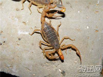 世界上最贵的十大液体 一升1000万美刀你可能