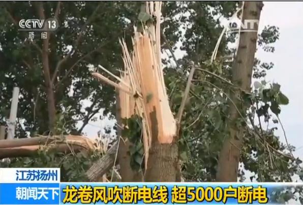 江苏扬州龙卷风吹断电线 超5000户用电中断