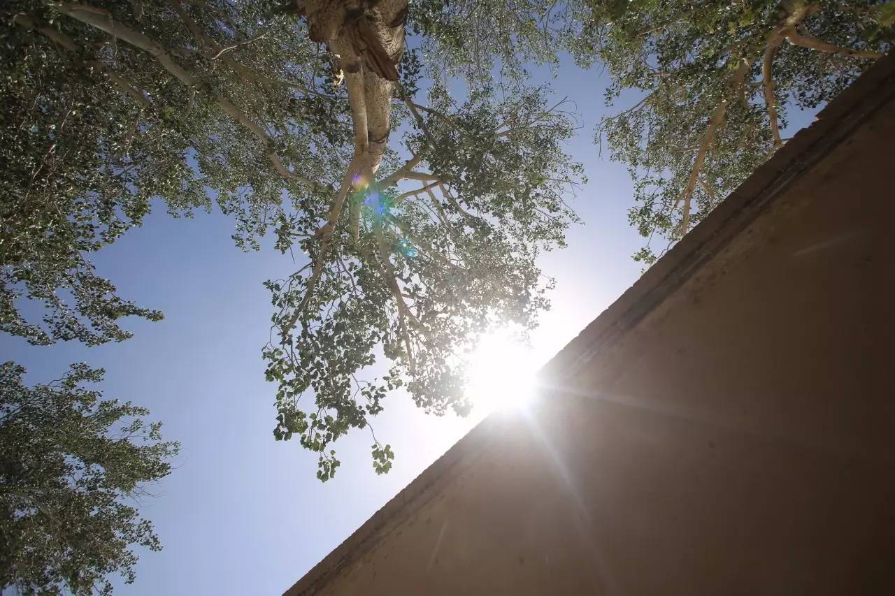 锦程说车丨开着最新自主品牌SUV行走戈壁