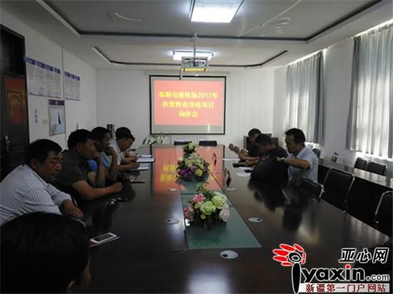 新疆和布克赛尔县布斯屯格牧场2017年扶贫牲