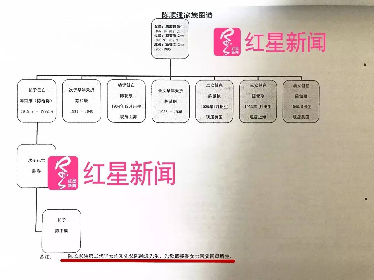 ▲船王陈顺通的家族成员图谱（部分，点击图片查看原图）   图片来源：红星新闻