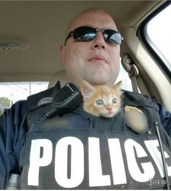 原来女装大佬也可以如此让人治愈 囧图亚瑟王的背肌