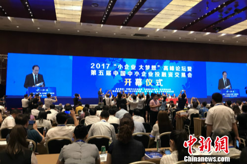 7月19日，2017“小企业 大梦想”高峰论坛在北京召开。 中新网 种卿 摄