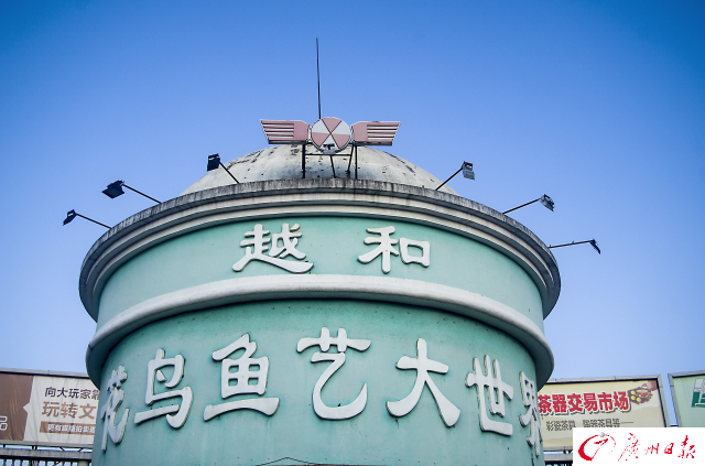 说再见太早!陪伴广州人17年的芳村花鸟市场暂