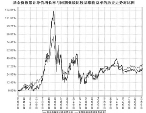 华润元大医疗保健量化混合型证券投资基金20