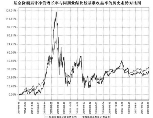 大医疗保健量化混合型证券投资基金2017年第