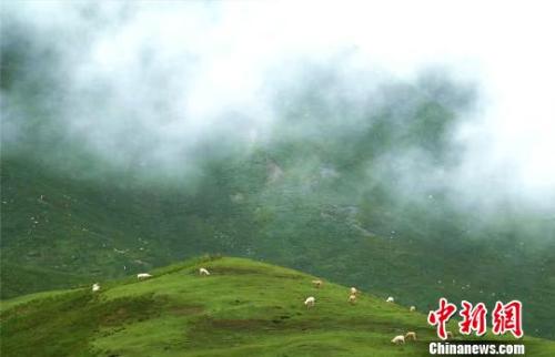 材料图:七月的祁连山云雾旋绕。 郎文瑞 摄
