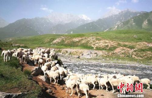 资料图：夏日的祁连山风物如画。　郎文瑞 摄
