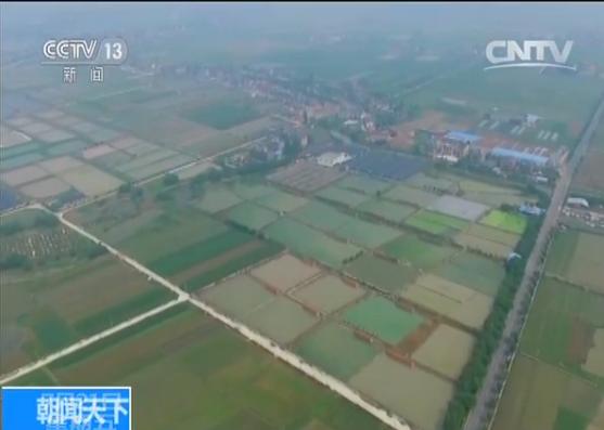 全国人均耕地面积_人均耕地面积图