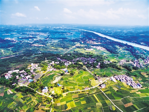 “美丽南方”入选国家田园综合体试点|农业|广西|旅游_新浪新闻