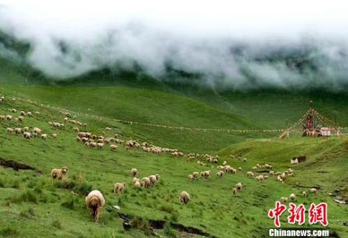 材料图:夏日的祁连山。郎文瑞 摄