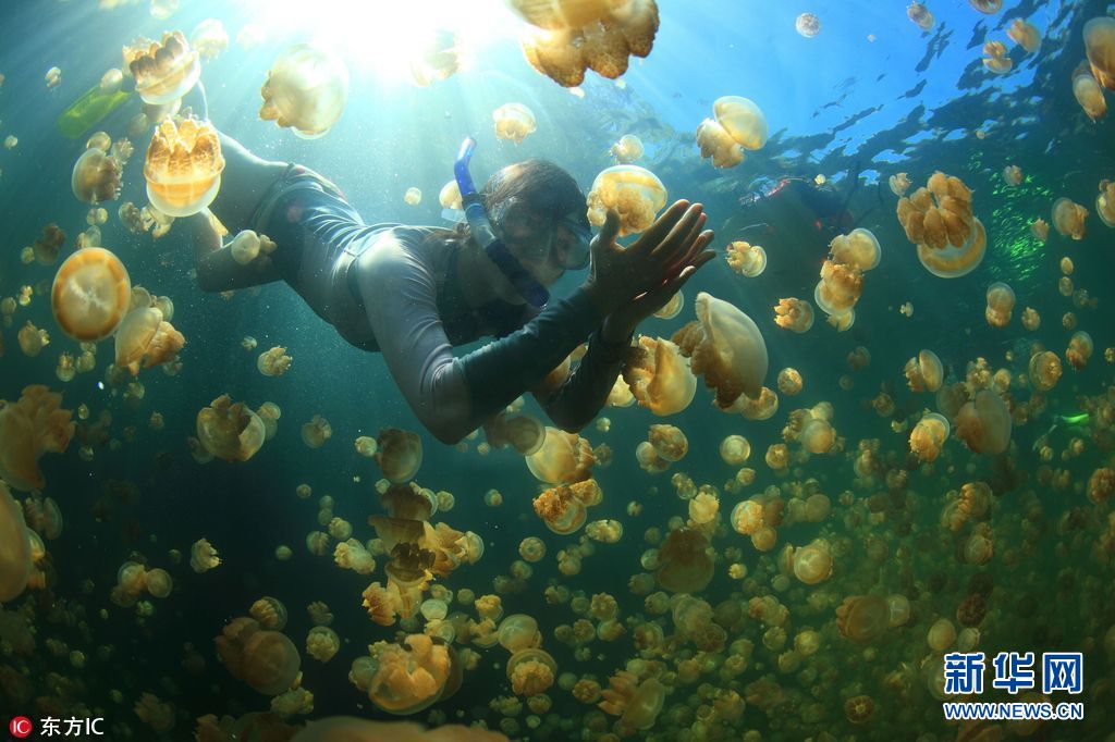 想逃离炎热?去这10大海岛浮潜一解暑气(组图)|东方|浮潜|塞班岛_新浪新闻