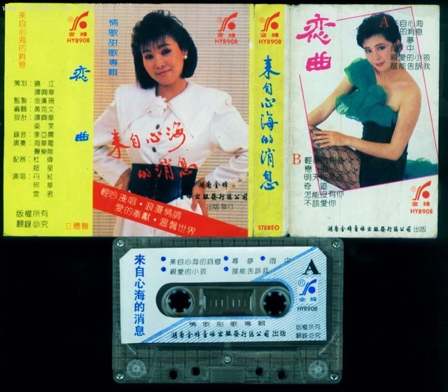 洋垃圾村:中国永别收洋垃圾:这些垃圾你可能用过 八十年代中期张蔷的火爆可以说秒杀今天任何一个巨星