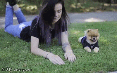 爆笑gif图:妹子的屁股是猩猩给的吗!
