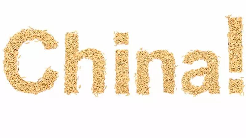  ▲USA Rice官网用米粒拼出“中国”字样