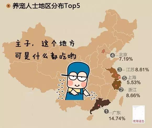 铲屎官们,是时候和你的主子“算算账”了!