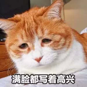 到底给不给这个红包?
