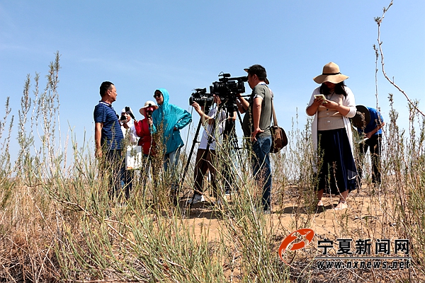 全国卫视记者走进白芨滩:见证宁夏治沙奇迹|宁