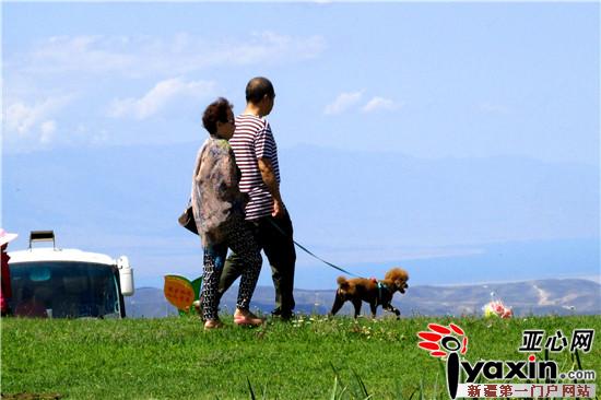 新疆裕民县迎来夏日旅游旺季|新疆|旅游|裕民县