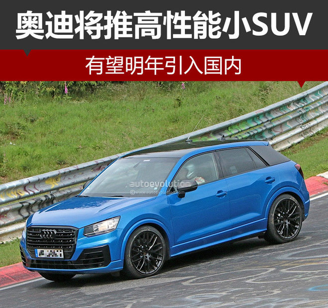 奥迪将推高性能小SUV 有望明年引入国内