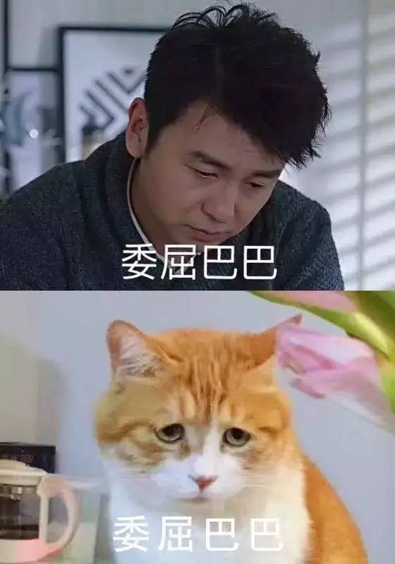 ( 噗嗤...哈哈哈 )