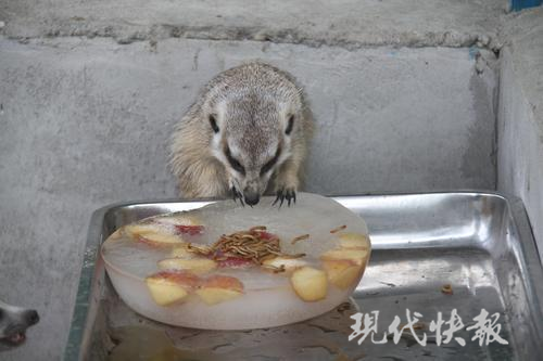 УˮС˽Ӿء