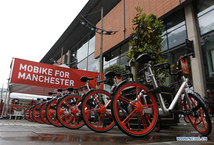 largest bicycle companies