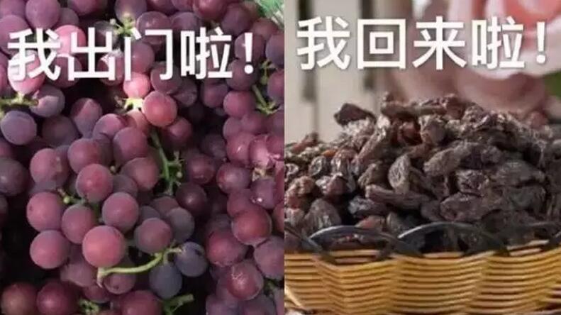 今年第9号台风生成，听说还是个大BOSS，而东莞已经热冒烟了……