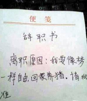 收入证明_呼和浩特月薪平均收入