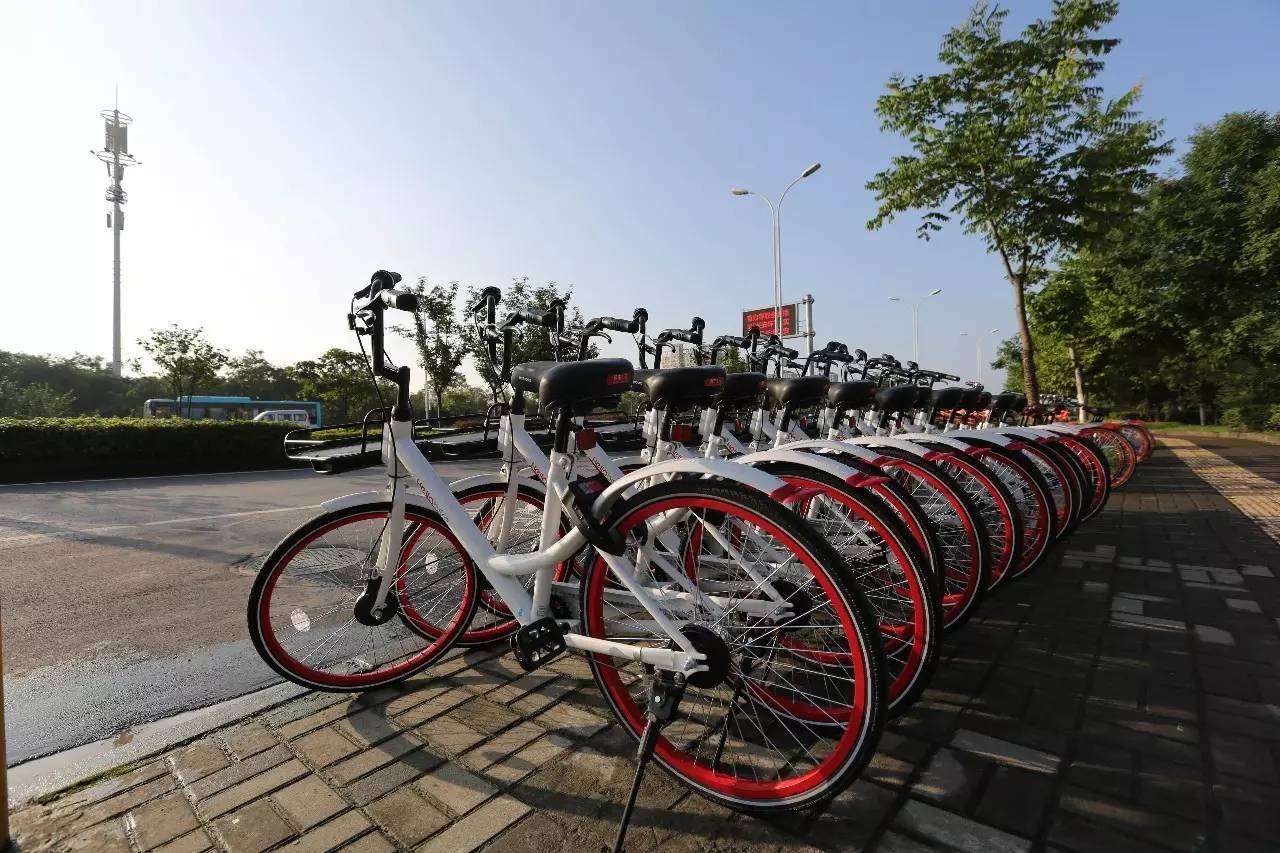 共享单车有2000万种死法,但死因通常只有一个