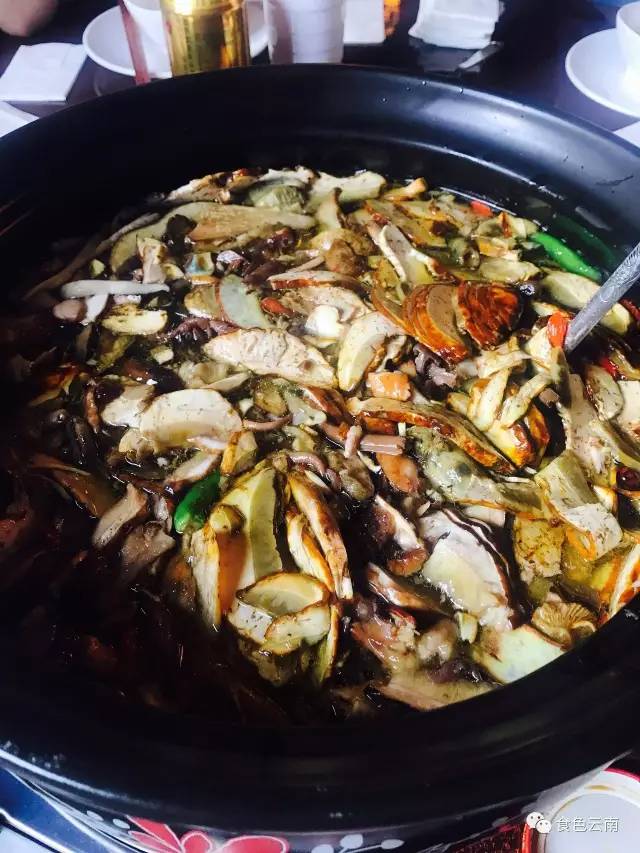 野生菌+土鸡!这么过瘾!今天开业,必须有福利!|阿