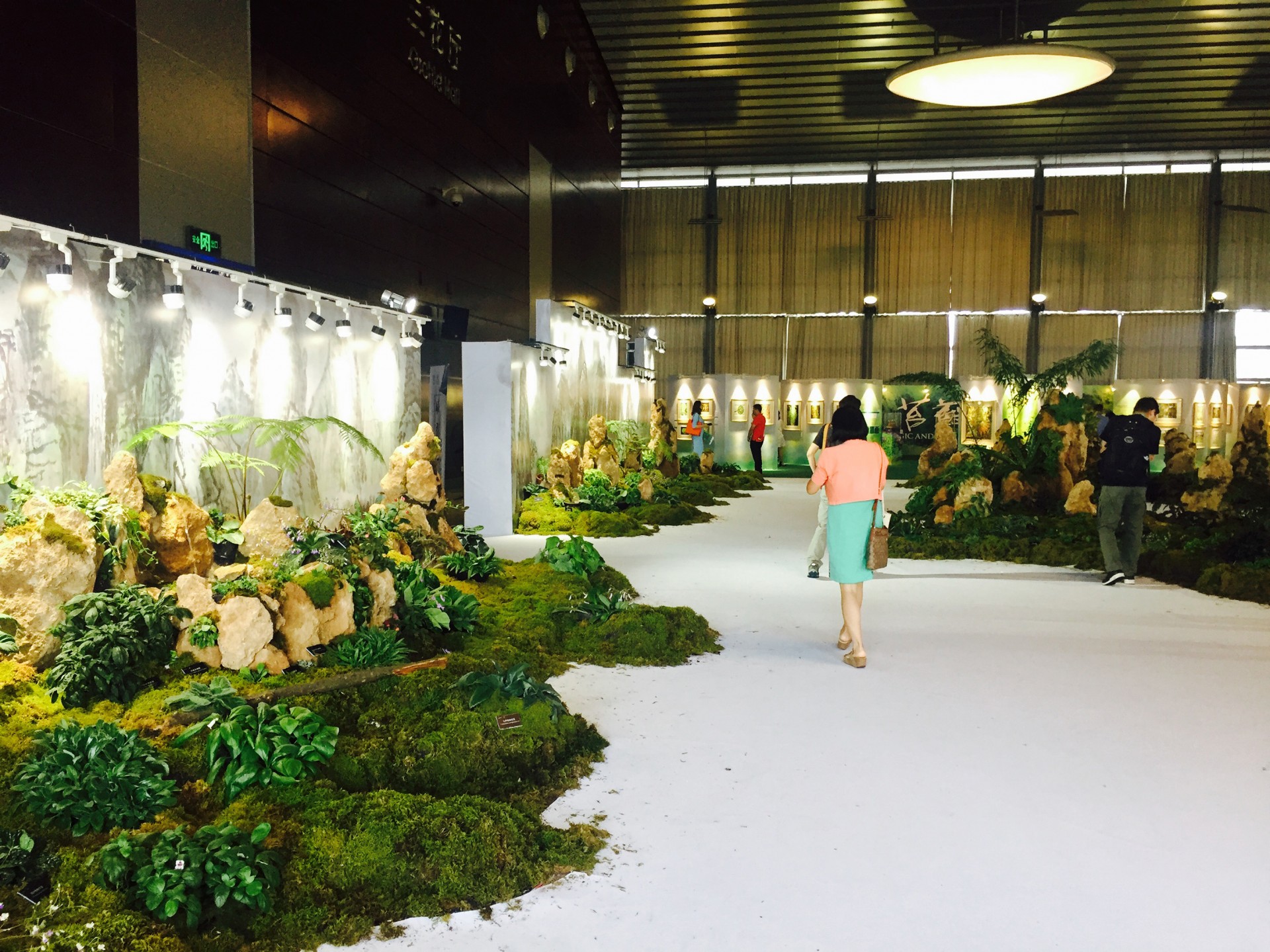 苔藓展昆虫展艺术画展没时间看植物展那这条微信千万不能错过