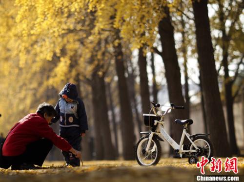 城市随迁老人成社区隐形人 报告吁强化社会融