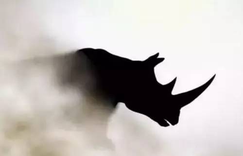 中财办官员:对房地产泡沫等灰犀牛事件要增加